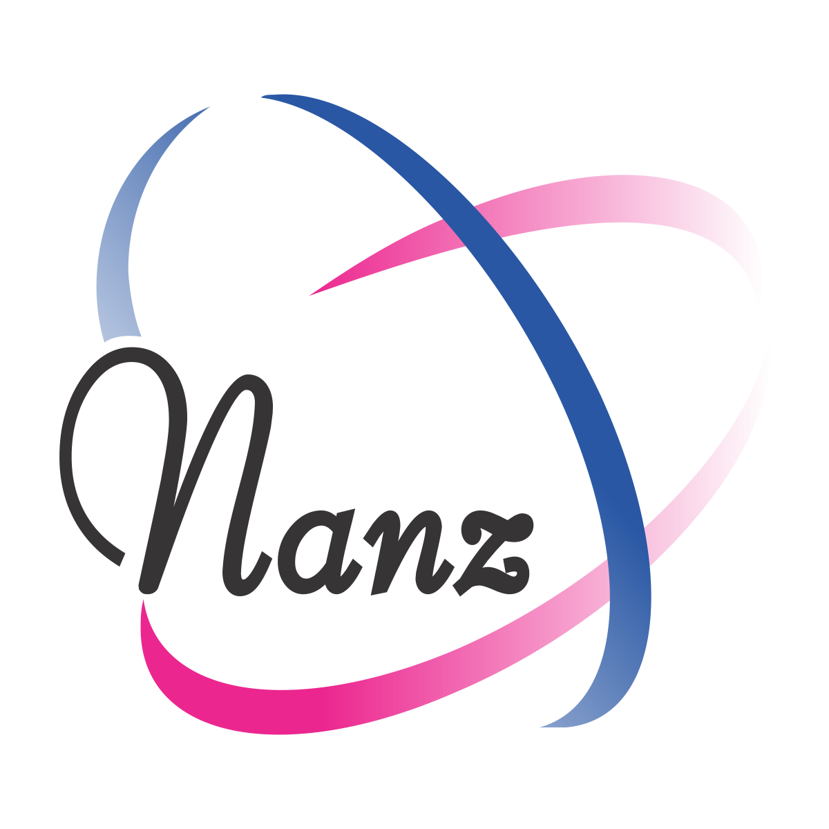 Nanz-Logo